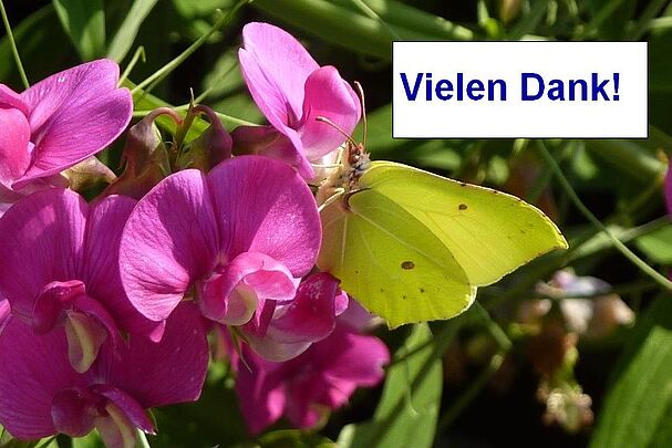 Vielen Dank! - Foto: Finkbeiner