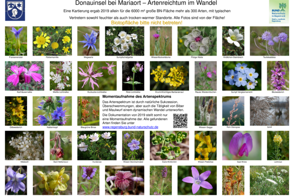 Fotos: BN KG Regensburg