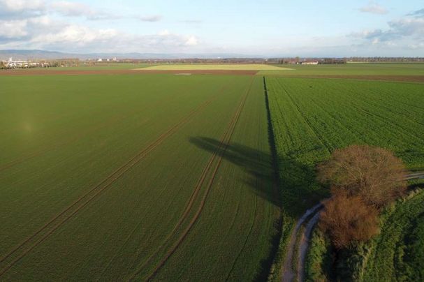 Foto: R. Schoberer - BN Regensburg