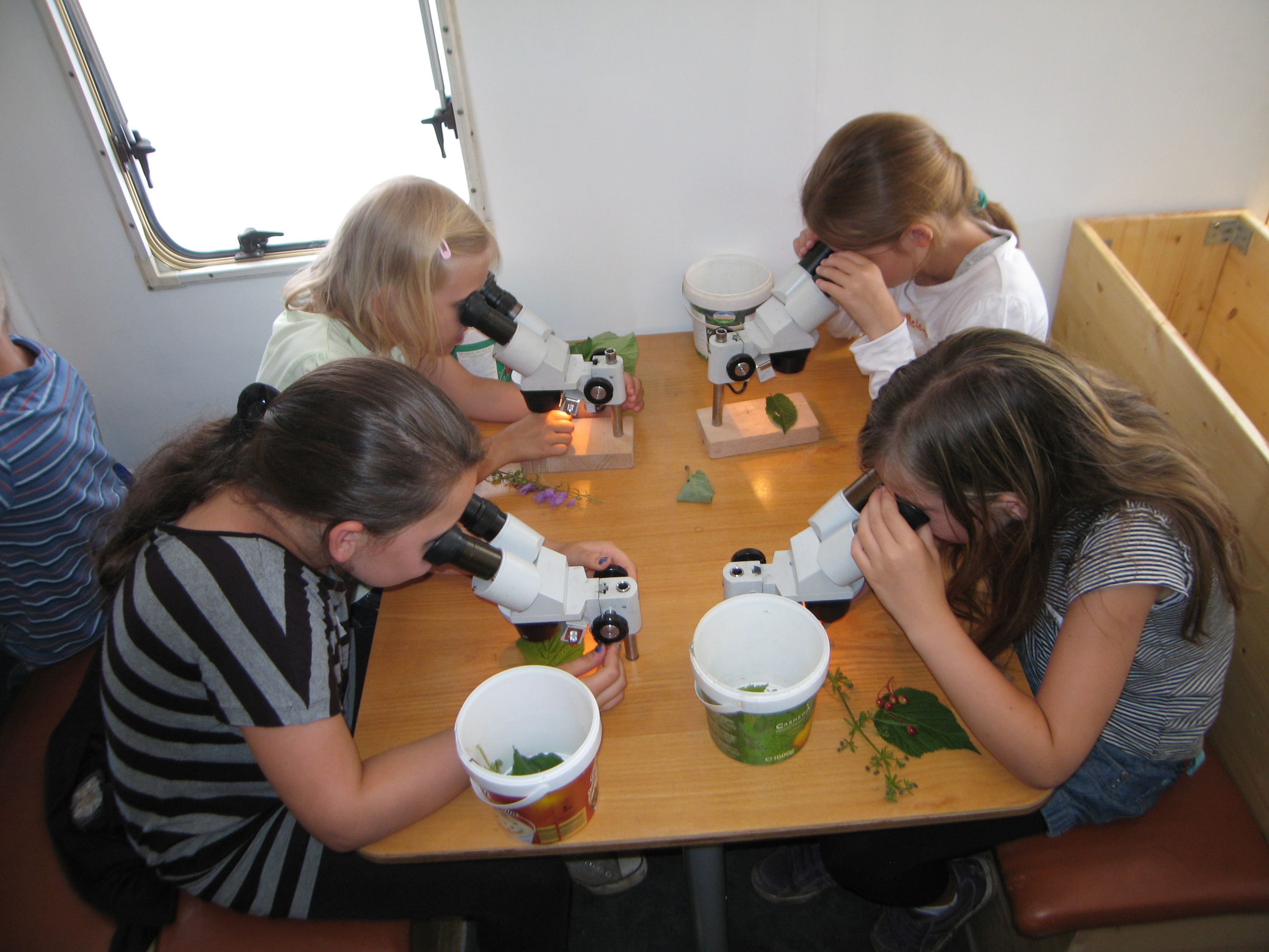 Naturforscher bei der Arbeit - Foto: BN KG Regensburg