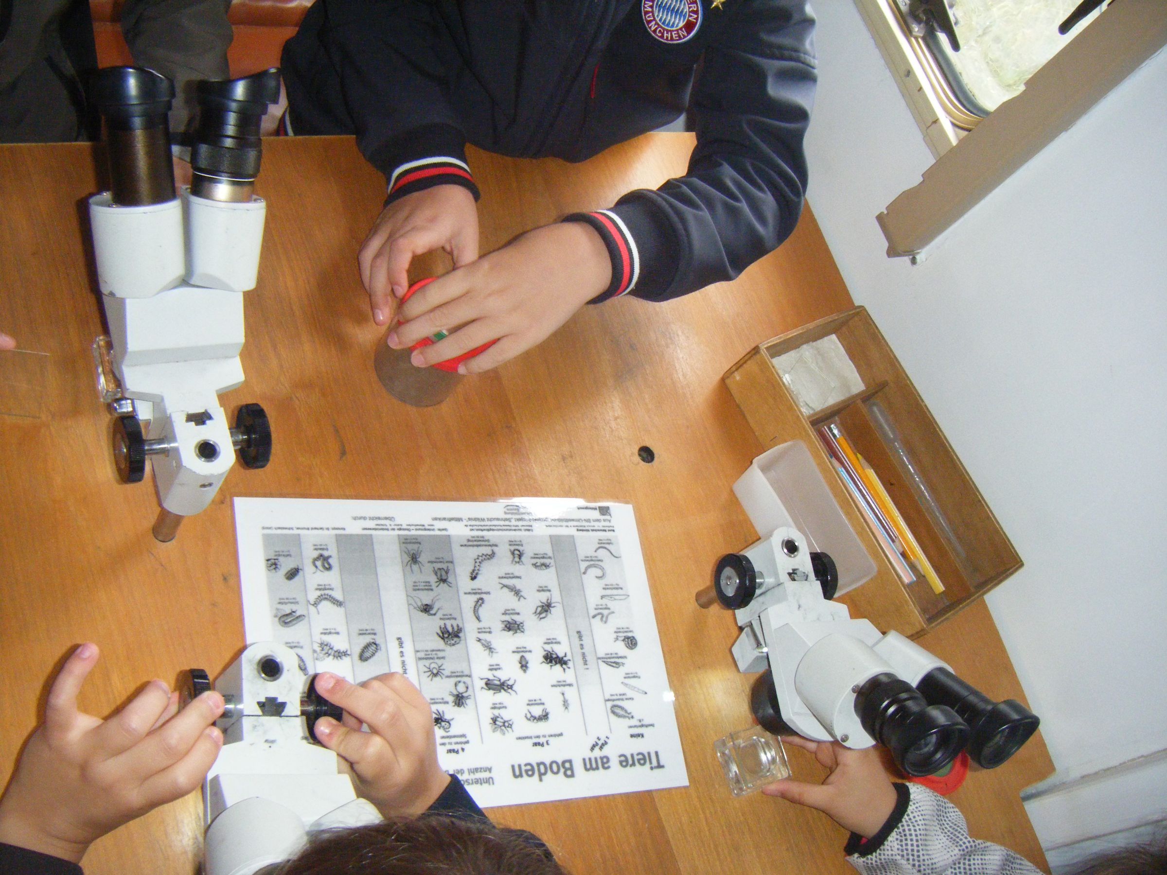 Tiere im Boden - Foto: GS Tegernheim