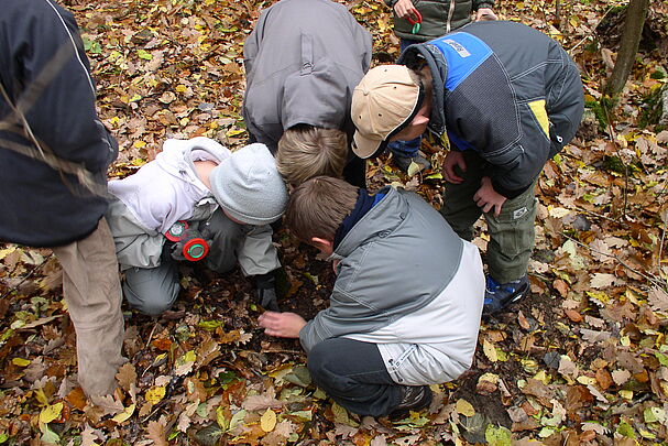 Was gibt's hier zu sehen? - Foto: BN