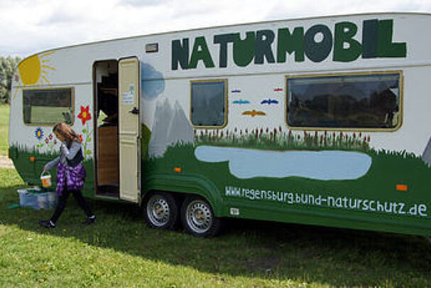 Naturforscher im Einsatz - Foto: BN KG Regensburg