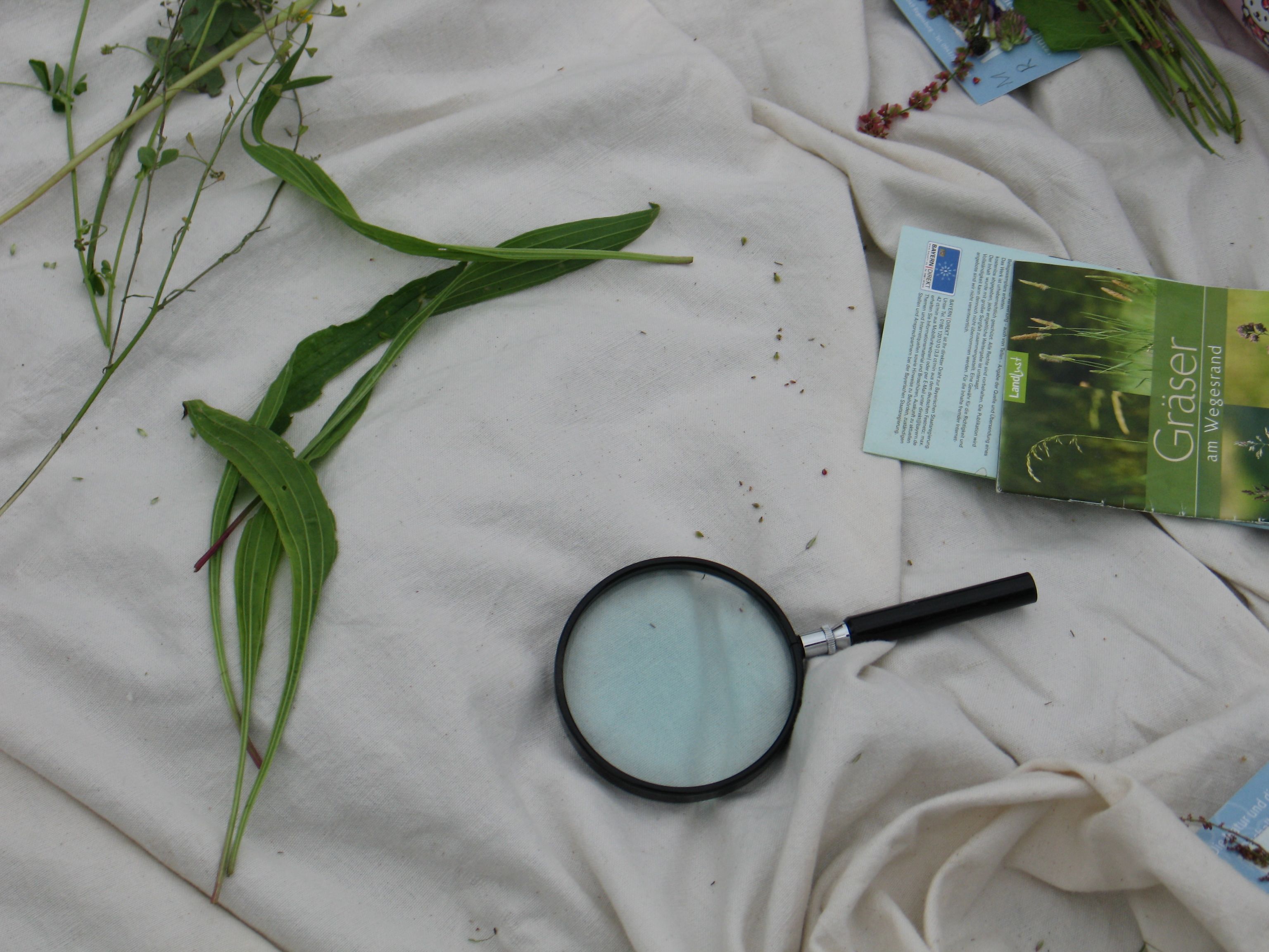 Sammelergebnisse - Foto: Nunn