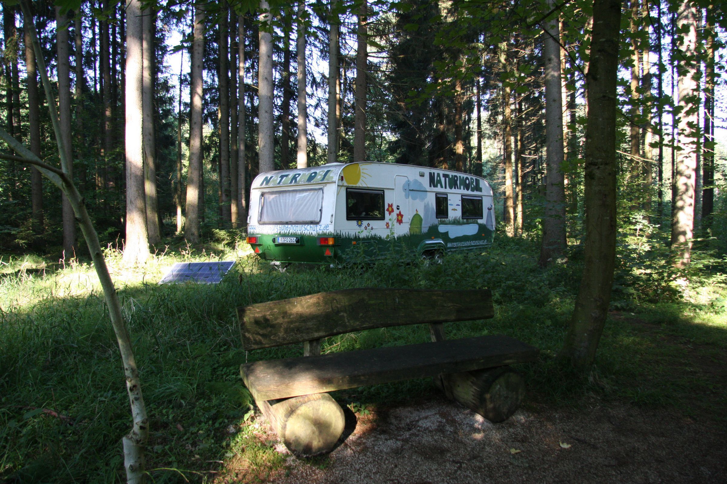 Mitten im Wald - Foto: Nunn