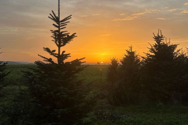 Foto: Familie Häckl