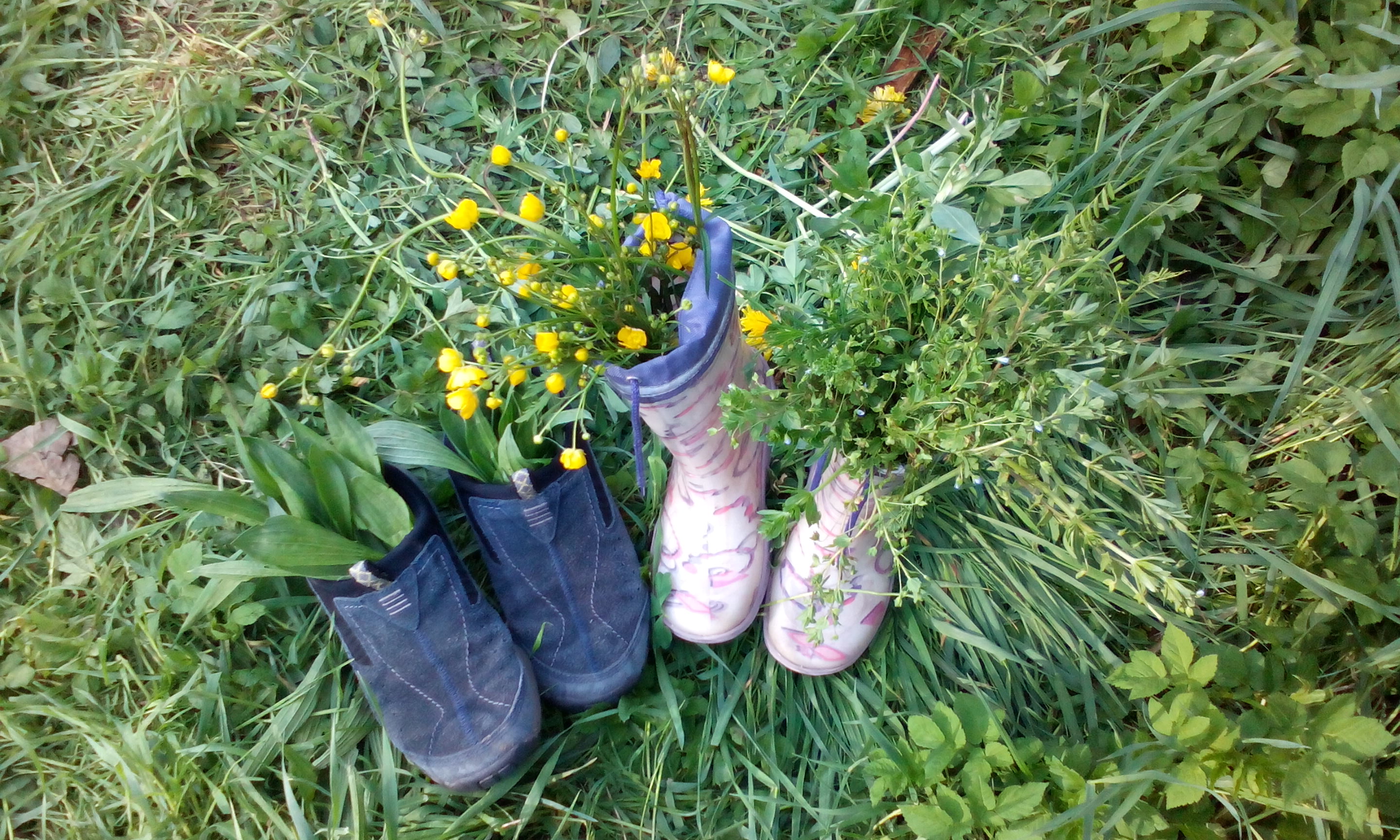 Grüne Schuhe - Foto: Nunn