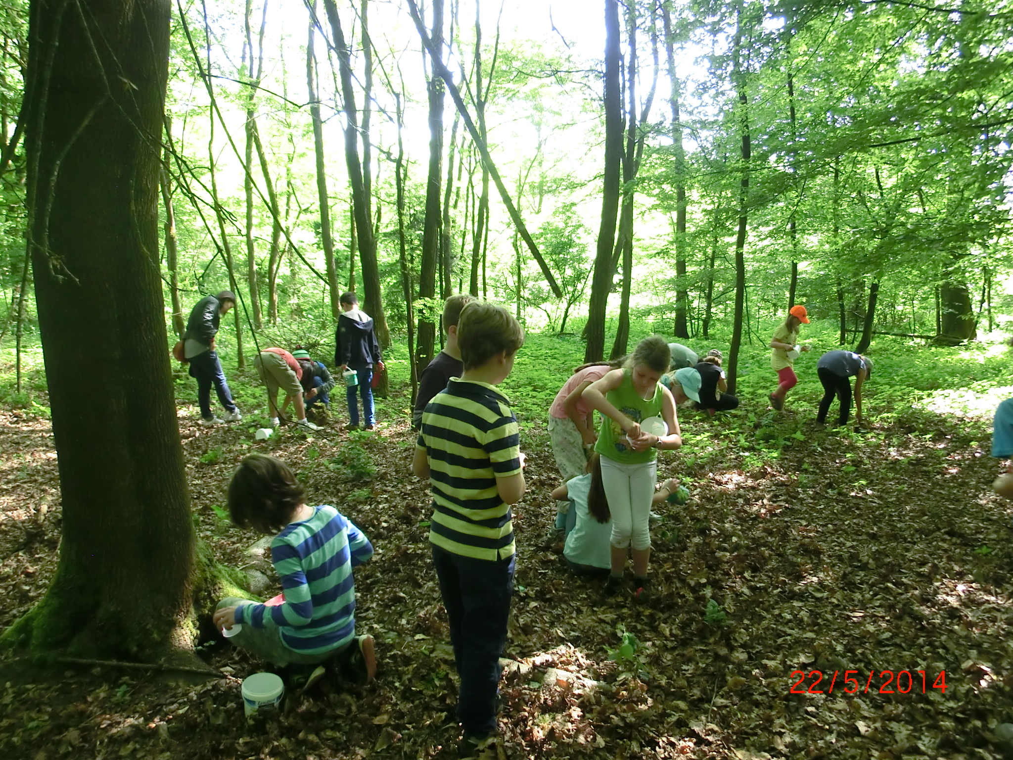 Waldabenteuer - Foto: GS Keilberg