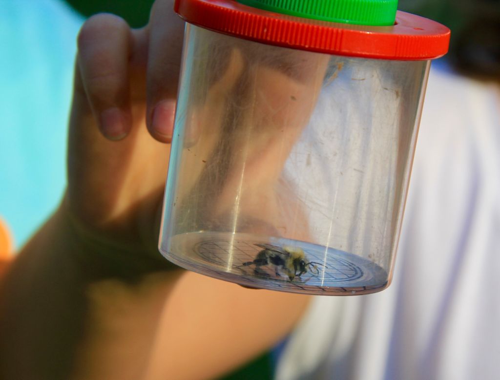 Fette Beute - Foto: Fleiner OGV