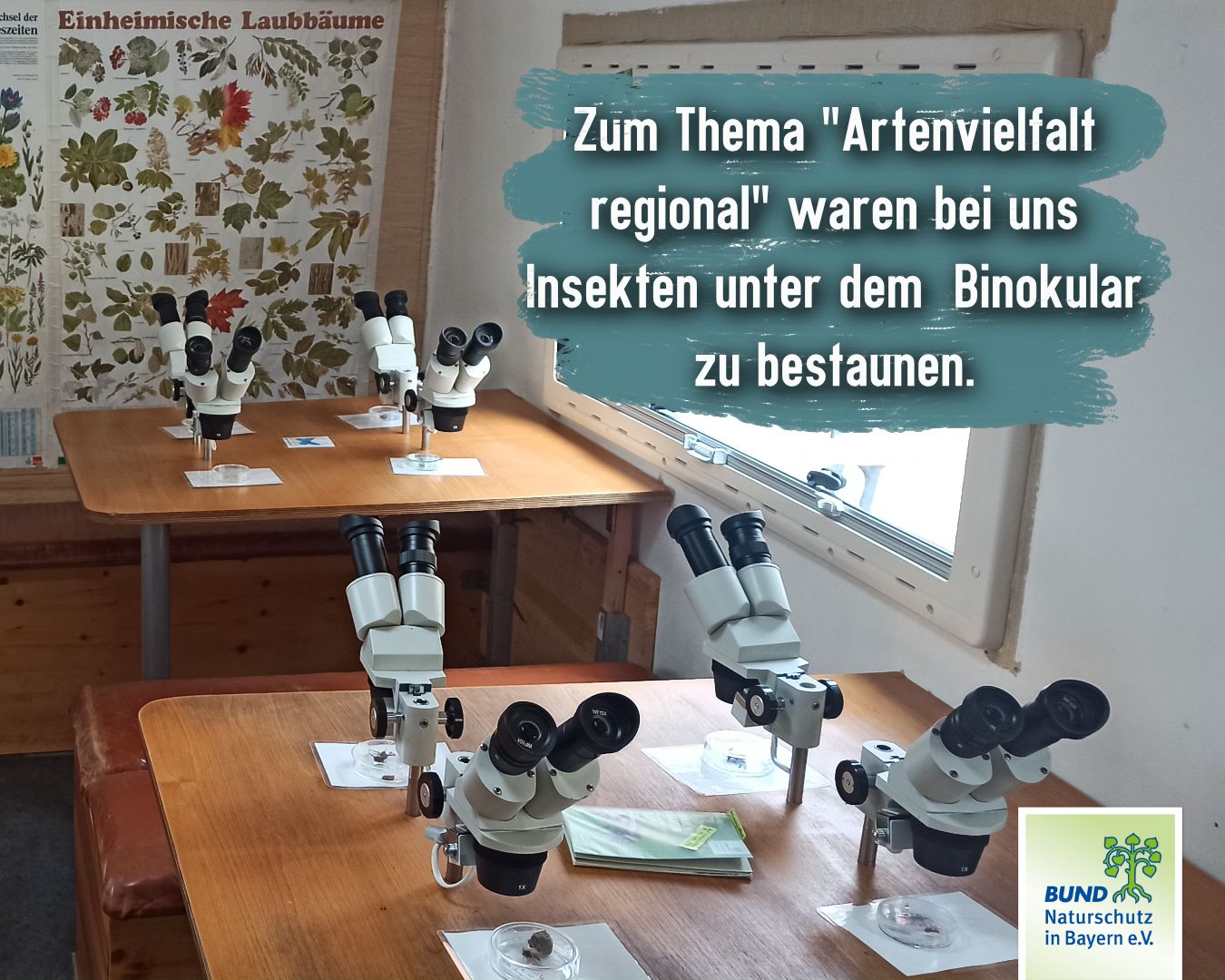 Foto: Angela Nunn - KG Regensburg