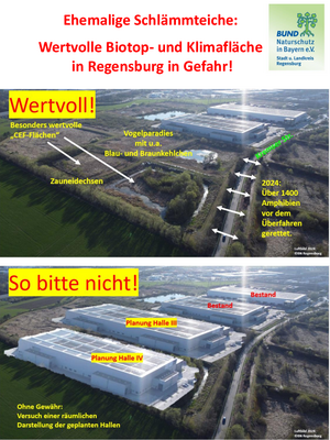Copyright: BN KG Regensburg