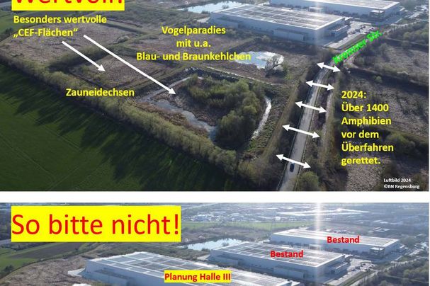 Copyright: BN KG Regensburg